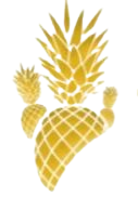 Synergy Restaurant Group Logo